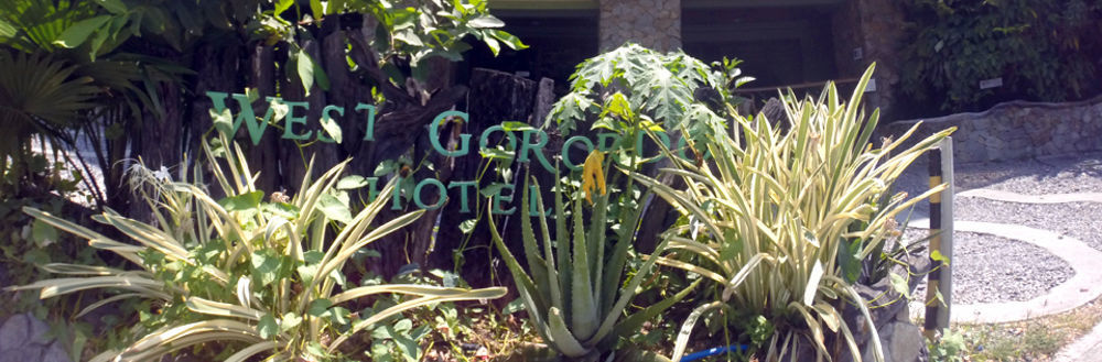 West Gorordo Hotel Cebu Exterior foto